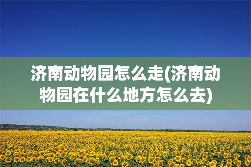济南动物园怎么走(济南动物园在什么地方怎么去)