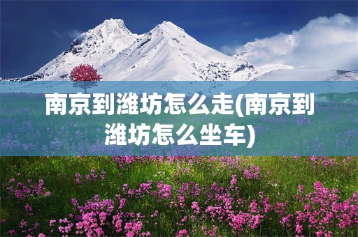 南京到潍坊怎么走(南京到潍坊怎么坐车)
