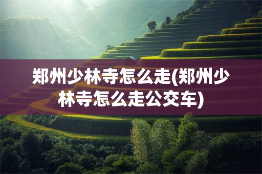郑州少林寺怎么走(郑州少林寺怎么走公交车)