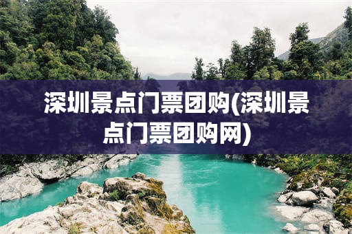 深圳景点门票团购(深圳景点门票团购网)