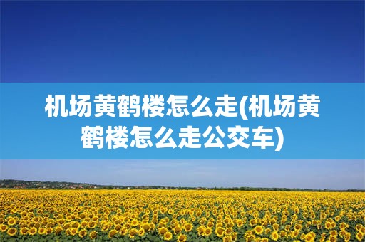 机场黄鹤楼怎么走(机场黄鹤楼怎么走公交车)