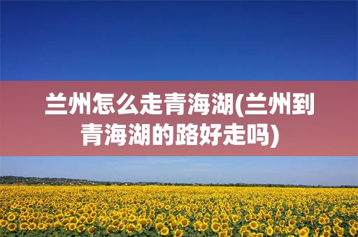 兰州怎么走青海湖(兰州到青海湖的路好走吗)