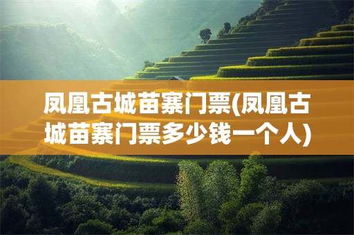 凤凰古城苗寨门票(凤凰古城苗寨门票多少钱一个人)