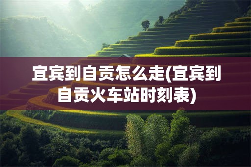 宜宾到自贡怎么走(宜宾到自贡火车站时刻表)