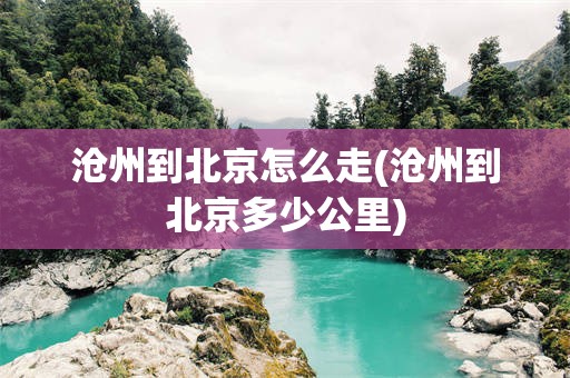 沧州到北京怎么走(沧州到北京多少公里)