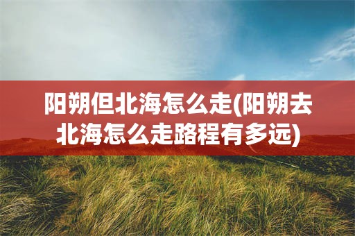 阳朔但北海怎么走(阳朔去北海怎么走路程有多远)