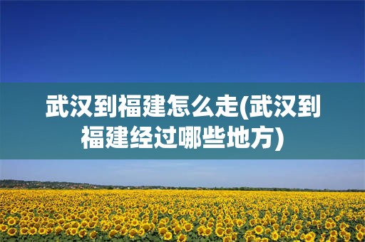 武汉到福建怎么走(武汉到福建经过哪些地方)