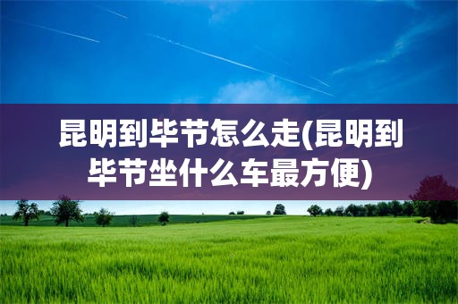 昆明到毕节怎么走(昆明到毕节坐什么车最方便)