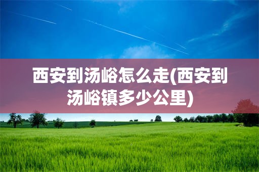 西安到汤峪怎么走(西安到汤峪镇多少公里)