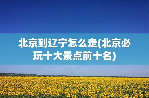 北京到辽宁怎么走(北京必玩十大景点前十名)