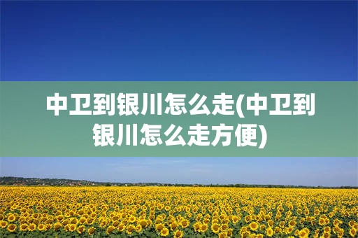 中卫到银川怎么走(中卫到银川怎么走方便)