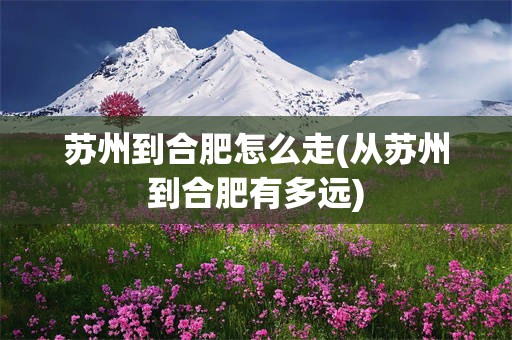 苏州到合肥怎么走(从苏州到合肥有多远)