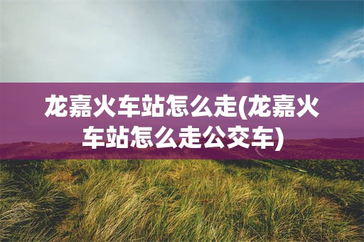 龙嘉火车站怎么走(龙嘉火车站怎么走公交车)