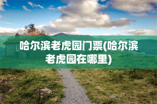 哈尔滨老虎园门票(哈尔滨老虎园在哪里)