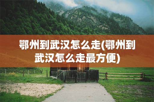 鄂州到武汉怎么走(鄂州到武汉怎么走最方便)