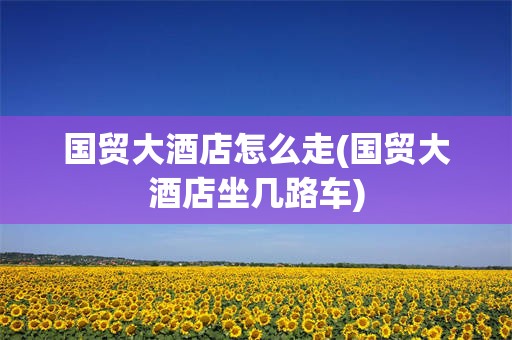 国贸大酒店怎么走(国贸大酒店坐几路车)