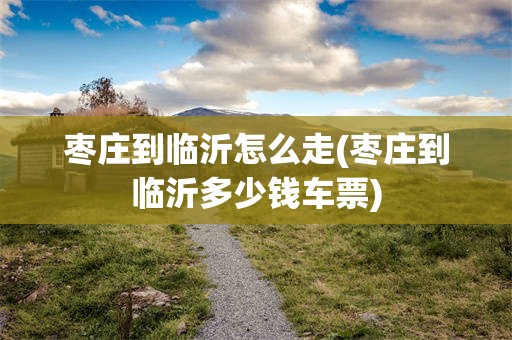 枣庄到临沂怎么走(枣庄到临沂多少钱车票)