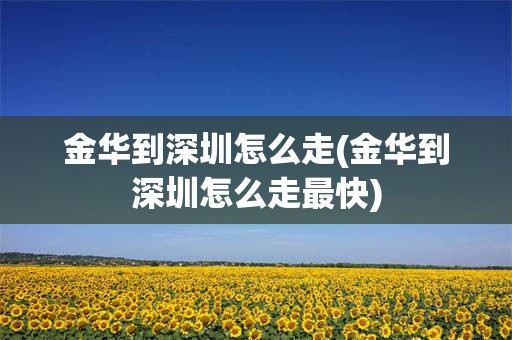 金华到深圳怎么走(金华到深圳怎么走最快)