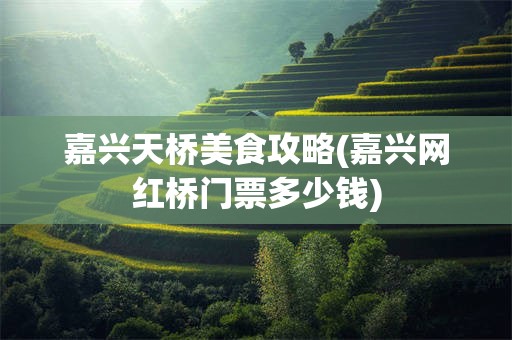 嘉兴天桥美食攻略(嘉兴网红桥门票多少钱)