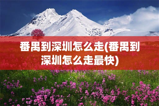番禺到深圳怎么走(番禺到深圳怎么走最快)