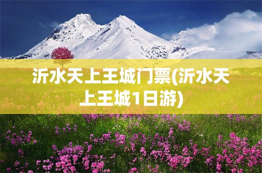沂水天上王城门票(沂水天上王城1日游)