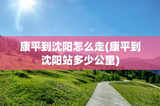 康平到沈阳怎么走(康平到沈阳站多少公里)