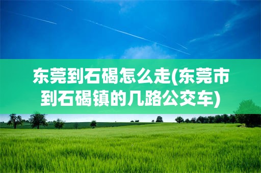 东莞到石碣怎么走(东莞市到石碣镇的几路公交车)