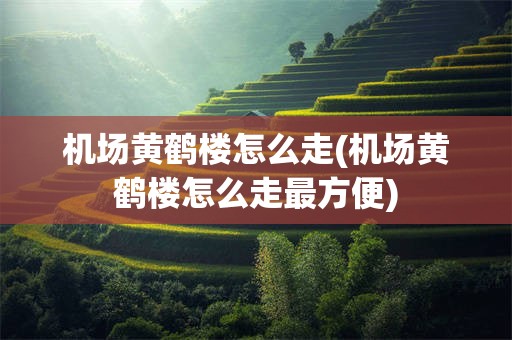 机场黄鹤楼怎么走(机场黄鹤楼怎么走最方便)