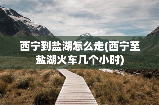西宁到盐湖怎么走(西宁至盐湖火车几个小时)