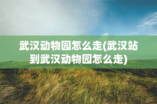 武汉动物园怎么走(武汉站到武汉动物园怎么走)