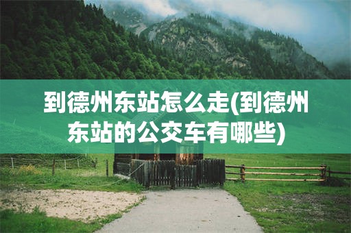 到德州东站怎么走(到德州东站的公交车有哪些)