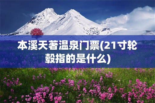 本溪天著温泉门票(21寸轮毂指的是什么)