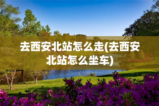 去西安北站怎么走(去西安北站怎么坐车)