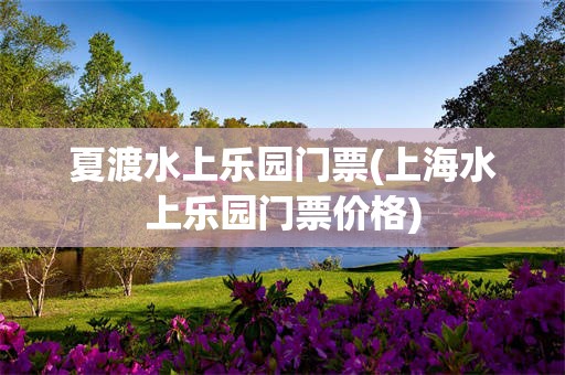 夏渡水上乐园门票(上海水上乐园门票价格)