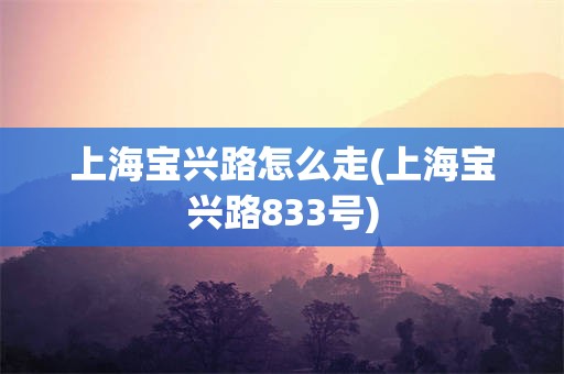 上海宝兴路怎么走(上海宝兴路833号)