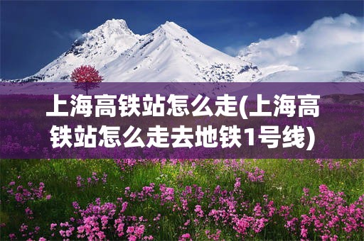 上海高铁站怎么走(上海高铁站怎么走去地铁1号线)