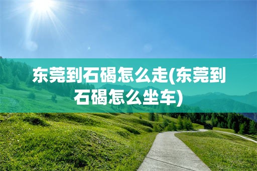 东莞到石碣怎么走(东莞到石碣怎么坐车)