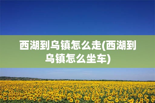 西湖到乌镇怎么走(西湖到乌镇怎么坐车)