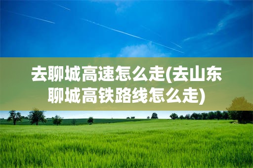去聊城高速怎么走(去山东聊城高铁路线怎么走)