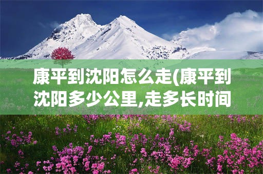 康平到沈阳怎么走(康平到沈阳多少公里,走多长时间)