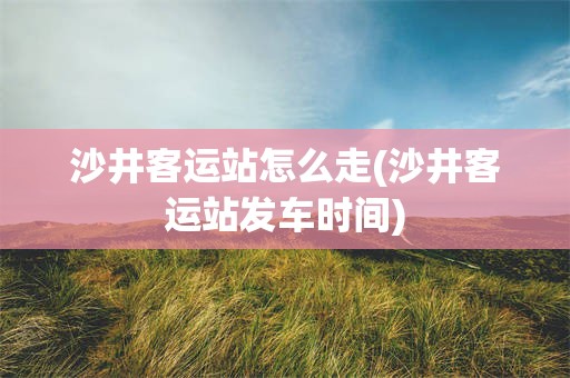 沙井客运站怎么走(沙井客运站发车时间)