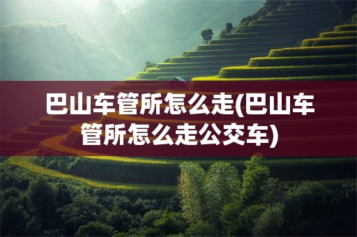 巴山车管所怎么走(巴山车管所怎么走公交车)