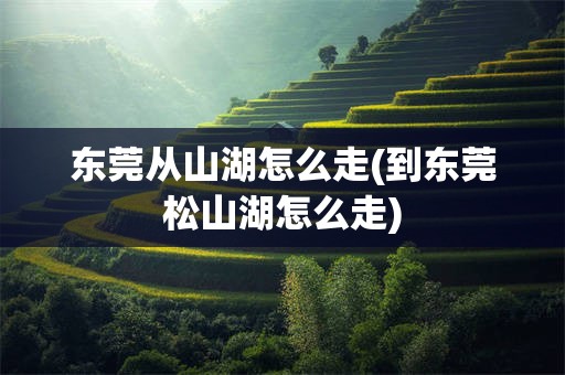 东莞从山湖怎么走(到东莞松山湖怎么走)