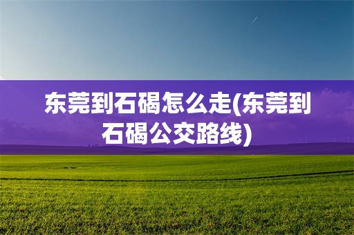 东莞到石碣怎么走(东莞到石碣公交路线)