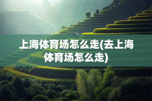 上海体育场怎么走(去上海体育场怎么走)