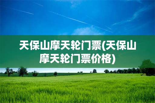 天保山摩天轮门票(天保山摩天轮门票价格)