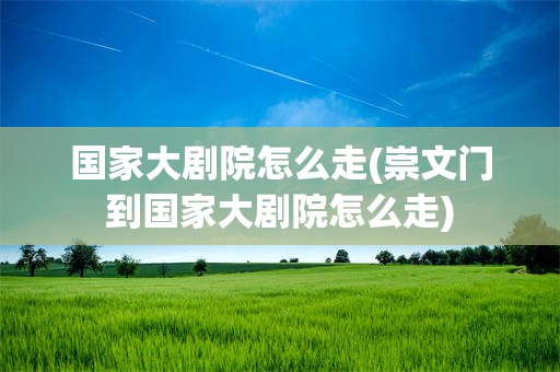 国家大剧院怎么走(崇文门到国家大剧院怎么走)
