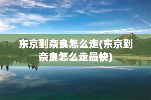 东京到奈良怎么走(东京到奈良怎么走最快)