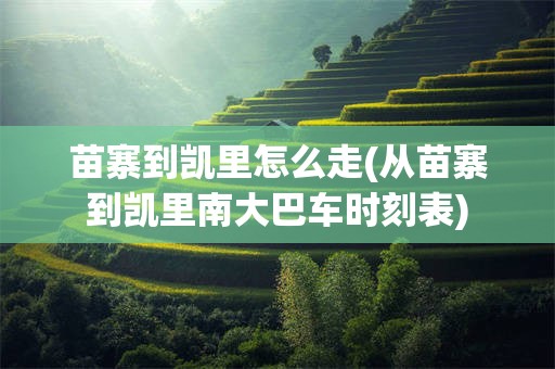 苗寨到凯里怎么走(从苗寨到凯里南大巴车时刻表)