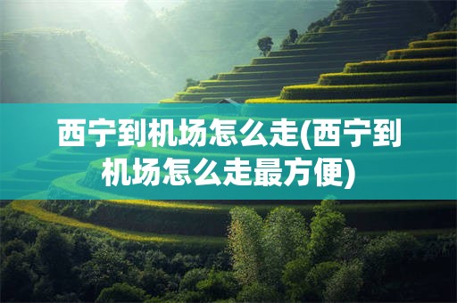 西宁到机场怎么走(西宁到机场怎么走最方便)